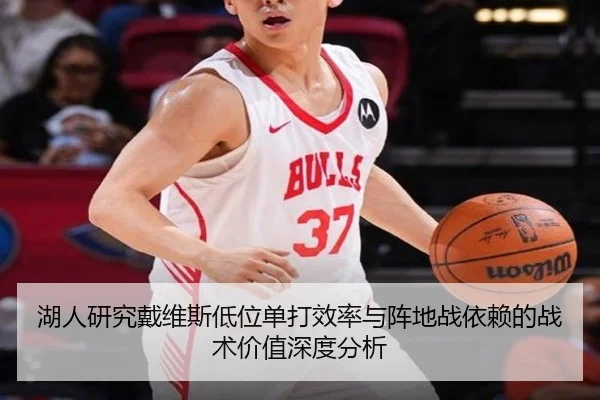 湖人研究戴维斯低位单打效率与阵地战依赖的战术价值深度分析